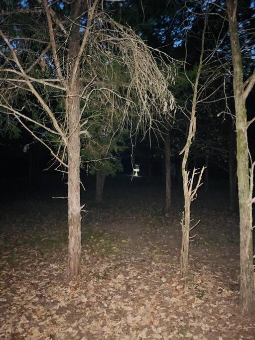 فيلا Bastrop Tiny Disc Golf Retreat المظهر الخارجي الصورة