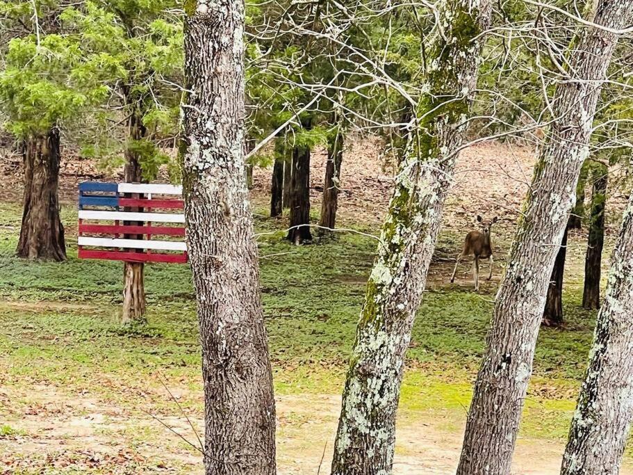فيلا Bastrop Tiny Disc Golf Retreat المظهر الخارجي الصورة